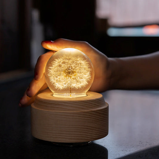 KIT GIZMO Give Girls A Gift Dandelion Crystal Ball Music Box Music Box Wooden Music Box Dandelion Music Box Birthday